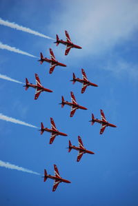 Low angle view of bird flying against blue sky