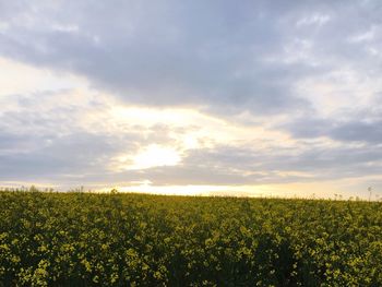 Scenic view of field against cloudy sky