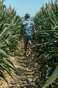 Rear view of man walking on footpath