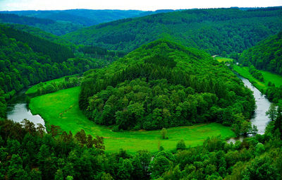 High angle view of trees on landscape