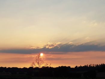 Silhouette trees on field against sky at sunset