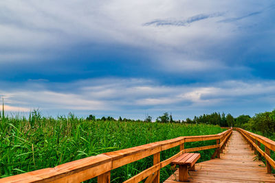 Wetland park wooden walkway. the long wooden bridge above the water. amazing nature.