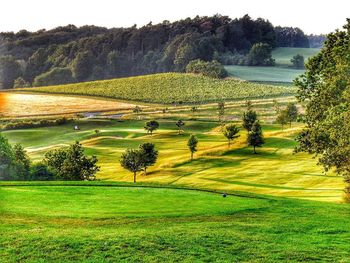 Scenic view of golf course