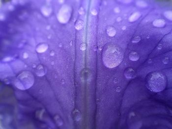 Full frame shot of water drops