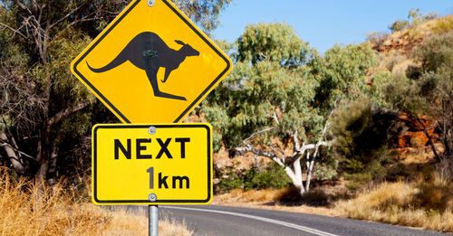 Information sign on road by trees