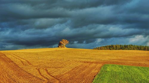 Scenic view of agricultural field against dramatic sky