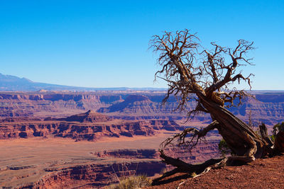 Scenic view of landscape against clear blue sky