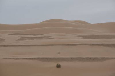 Scenic view of desert against sky