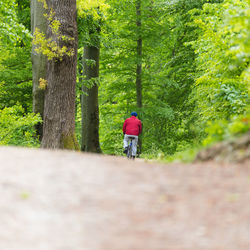 Rear view of woman cycling on footpath amidst trees in forest