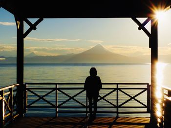 Rear view of silhouette man standing on railing against sea