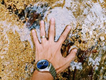 High angle view of person hand on rock