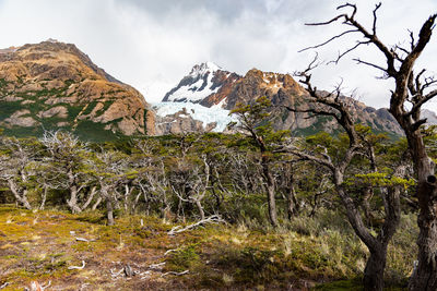 Scenic view of mountains against sky during winter