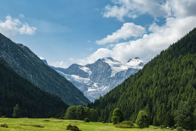 View of the valley of cogne in the gran paradiso national park