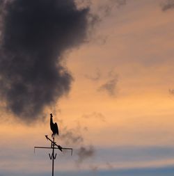 Low angle view of silhouette bird against sky