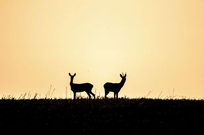 Silhouette horses on field against clear sky