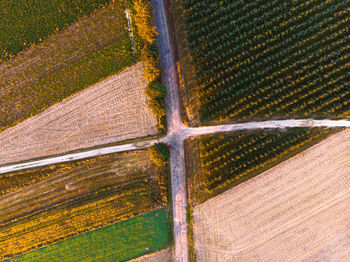 High angle view of agricultural field