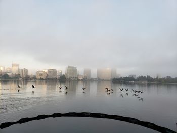 Birds in lake against sky