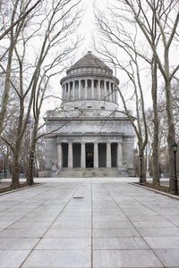 Bare trees along built structures