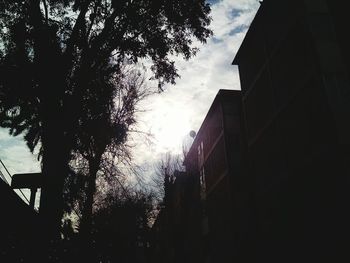 Low angle view of silhouette trees against sky at sunset