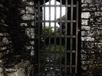 Close-up of window