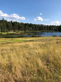 Scenic view of landscape against sky