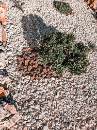 High angle view of stone wall