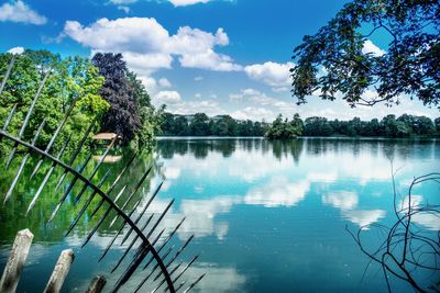 Reflection of trees in swimming pool against sky