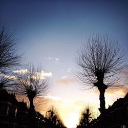 Silhouette of bare trees against sky at sunset