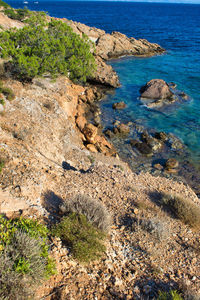 High angle view of rocks on shore