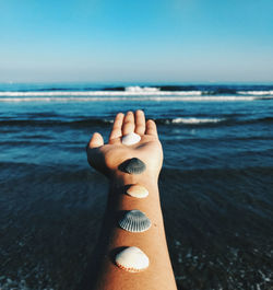 Cropped image of woman with seashells on hand by sea against sky