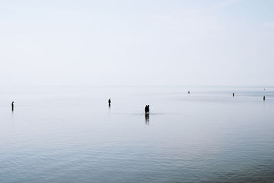 People standing in sea at beach