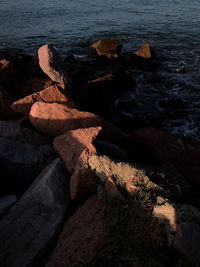 High angle view of rocks on beach