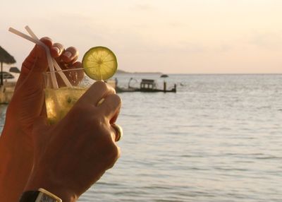 Close-up of hand holding apple against sea