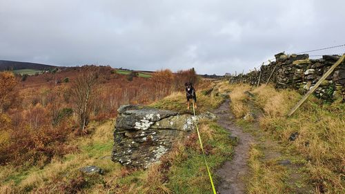 Rear view of man standing on land against sky