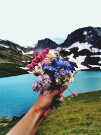 Close-up of hand holding flowering plant against mountain