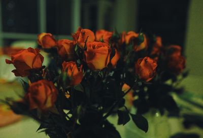 Close-up of flowers