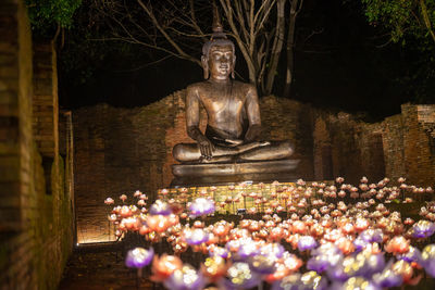 Close-up of statue