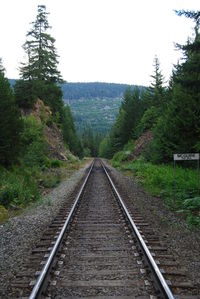 Railroad track on country road
