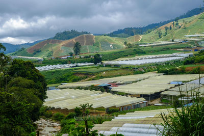 Scenic view of farm against sky