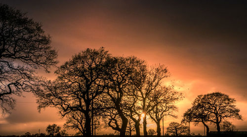 Low angle view of silhouette trees against romantic sky