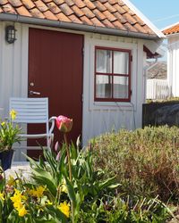 Plants growing in front of house