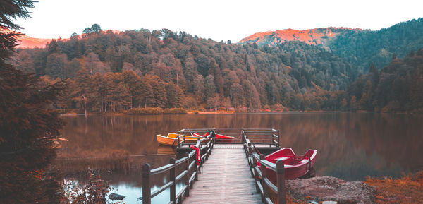 Scenic view of lake by trees during autumn