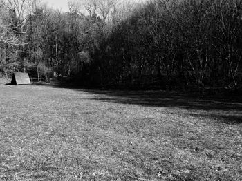 Empty road along trees