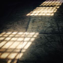 Shadow of tree on the wall