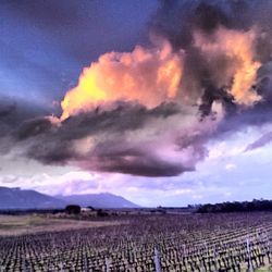 Scenic view of field against cloudy sky