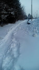 Snow covered landscape