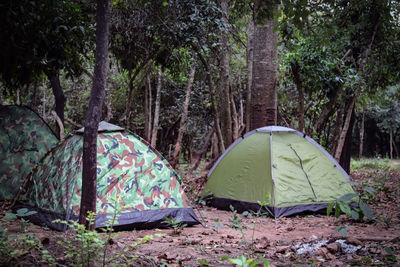 Tent in forest