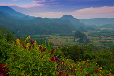 Scenic view of field against mountains