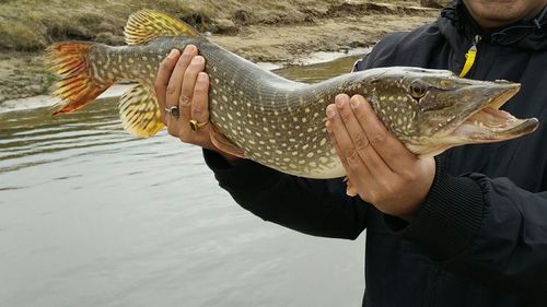 Man holding fish in water