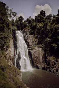 Scenic view of waterfall in forest